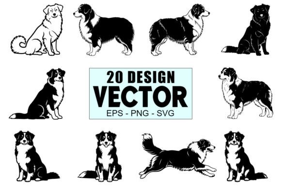 Australian Shepherd Dog Vector Bundle