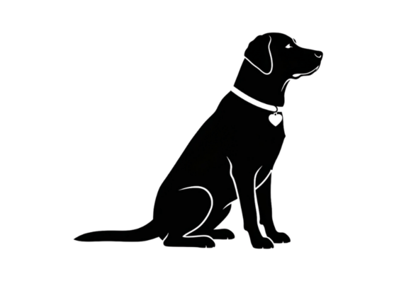 Black Labrador Dog Sitting Silhouette