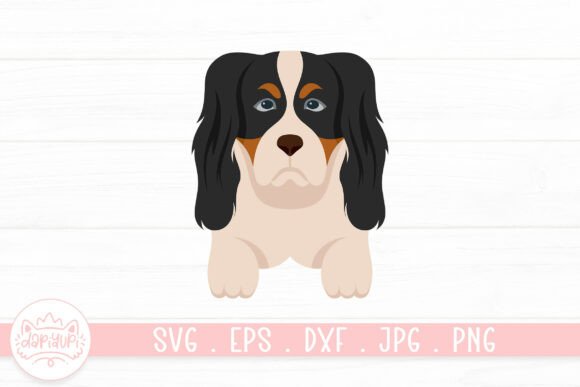 Cavalier King Charles Spaniels Dog