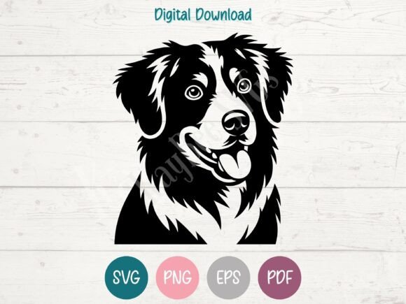 Nova Scotia Duck Tolling Retriever Dog